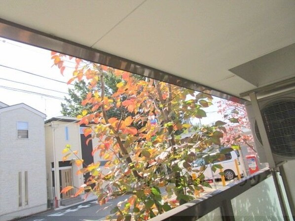 グレースメゾン本町の物件内観写真